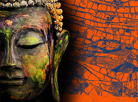 rajib raj